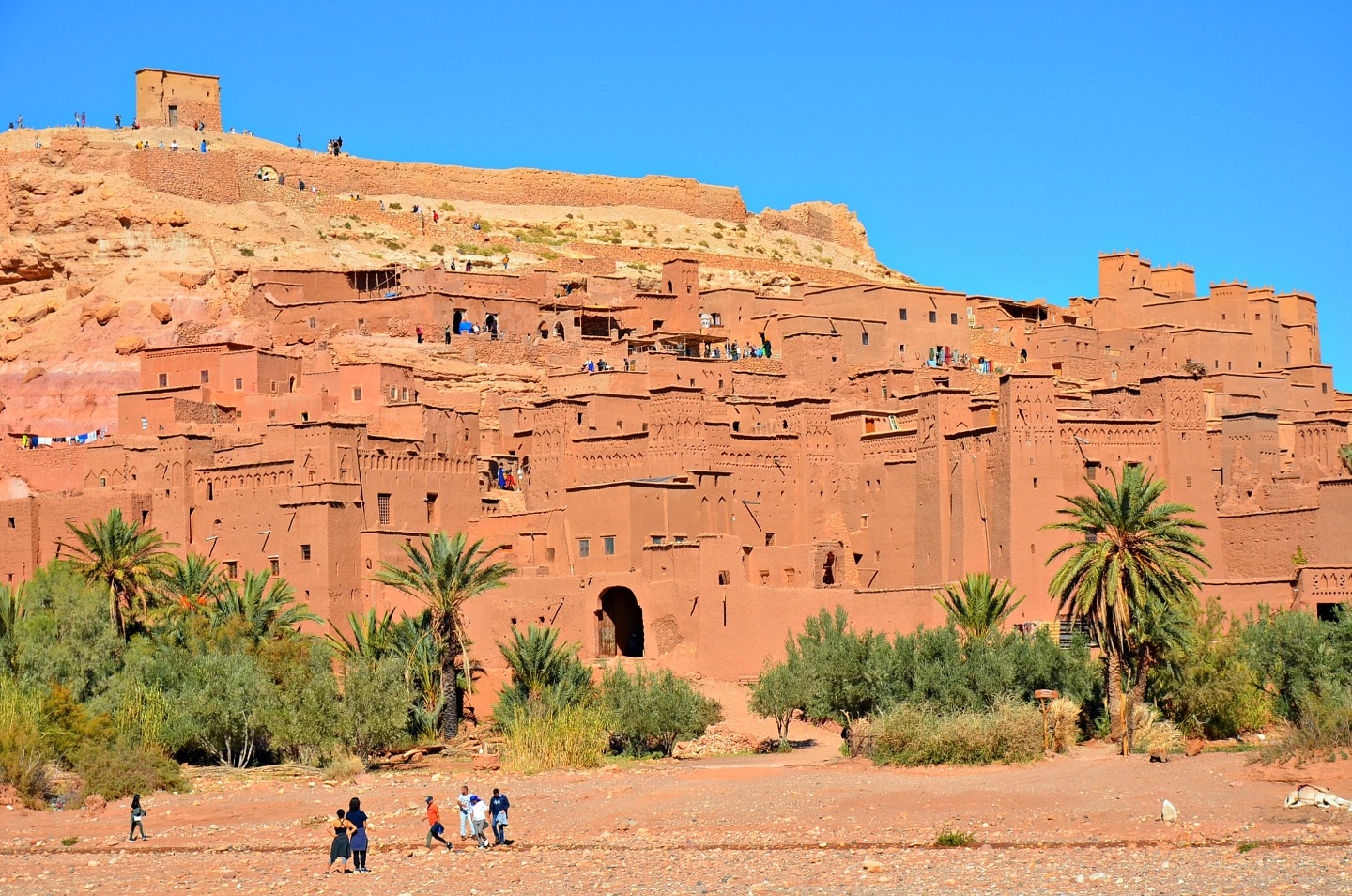 Pourquoi choisir AmridilCar.com pour votre location de voiture à Ouarzazate ?