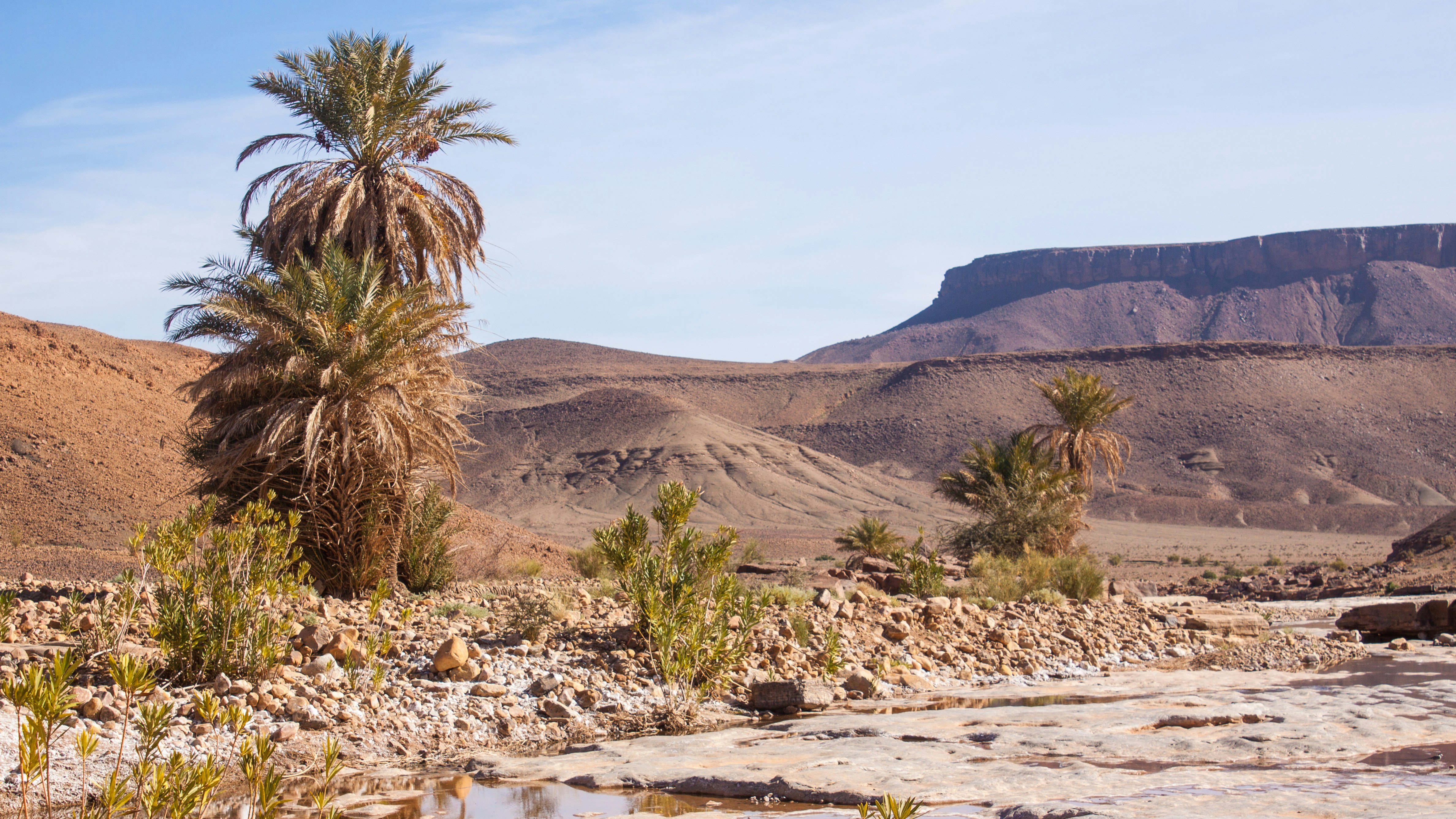 Car Rental in Skoura